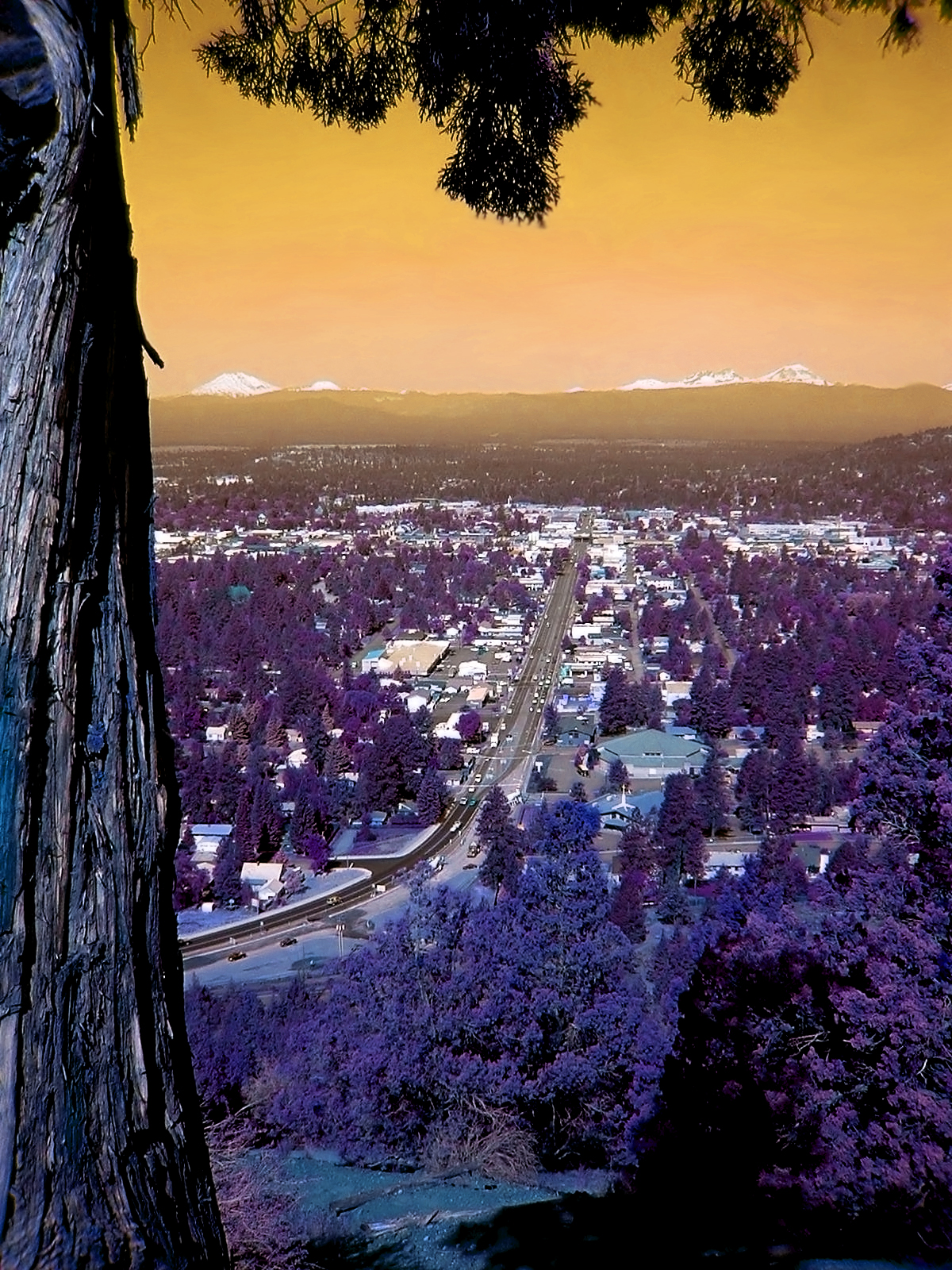 hilltop view of Bend, OR